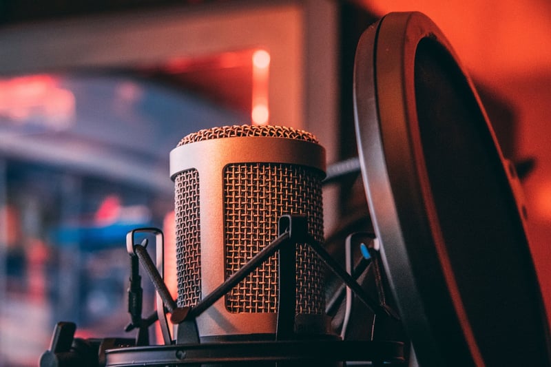 Microphone for interviews